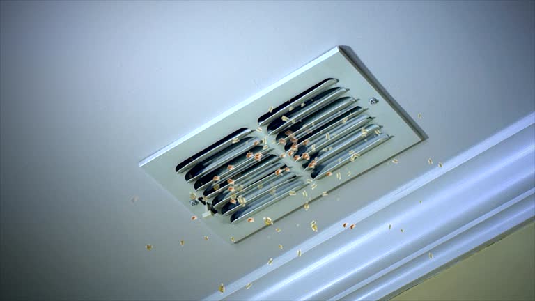 Best Emergency Air Duct Cleaning  in Perryville, MD
