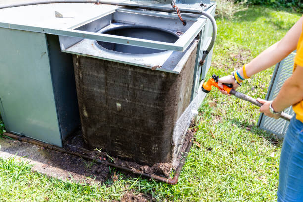 Best Air Duct Mold Removal  in Perryville, MD